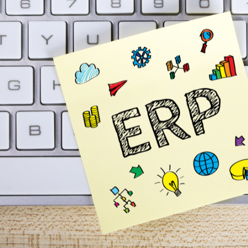 What Is Erp Roleplay